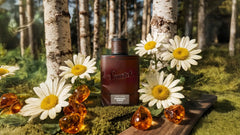 Midnight Birch Cologne