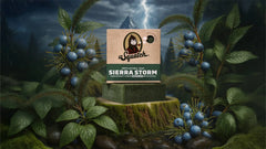 Sierra Storm