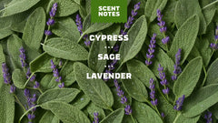 Alpine Sage Deodorant