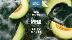 14 oz Coastal Mist Body Wash