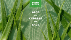 Cool Fresh Aloe Conditioner