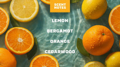 14 oz Summer Citrus Body Wash