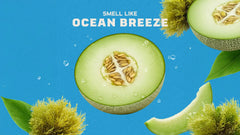 Coastal Mist Deodorant