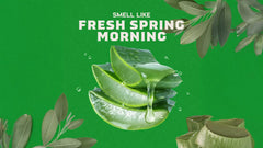 Cool Fresh Aloe Conditioner