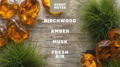 Birchwood Breeze Deodorant