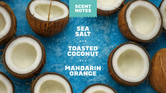 Coconut Castaway Lotion