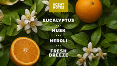 Mountain Meadow Deodorant