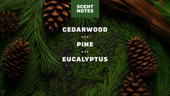 Pine Tar Lotion