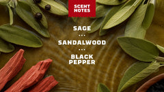 Sandalwood Summit Deodorant