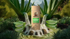 Cool Fresh Aloe Shampoo