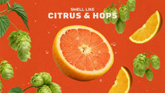 Grapefruit IPA