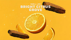 Summer Citrus Conditioner